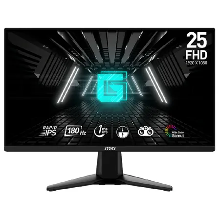 MSI G255F 25 Inch FHD 180Hz IPS Panel 99%SRGB 1MS AMD Freesync Gaming Monitor