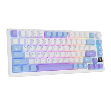 ROYAL KLUDGE RK M75 75% RGB Mechanical Wireless Gaming Keyboard ( Taro MIlk ) ( Tactile Brown Switch )