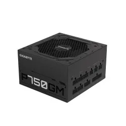 GIGABYTE P750GM 750W 80+ Gold Fully Modular ATX 2.0 Power Supply