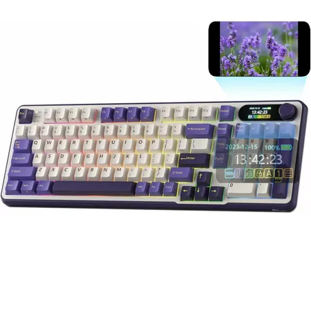 ROYAL KLUDGE RK S98 Full Size RGB Mechanical Wireless Gaming Keyboard ( Light Cloud ) ( Chartreuse Switch )