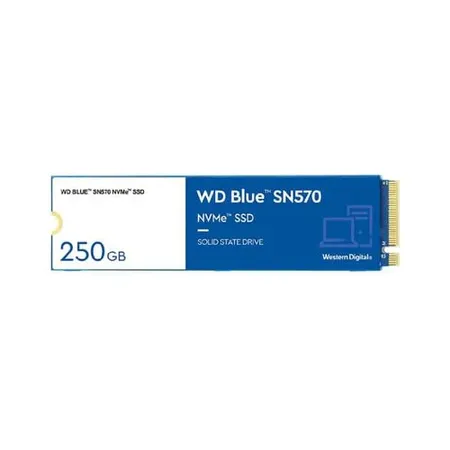 Western Digital Blue SN570 250GB NVMe Internal Solid State Drive (WDS250G3B0C)