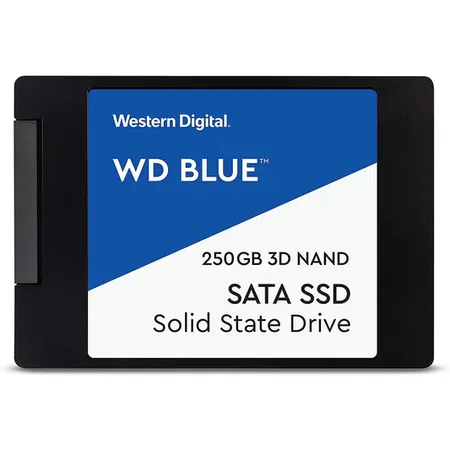 WESTERN DIGITAL Blue 250GB 2.5 SATA SATA 3 Solid State Drive (SSD)
