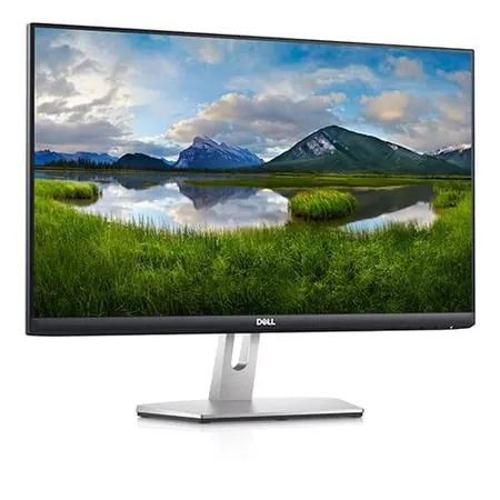 DELL S2421HN 24 Inch FHD 75Hz IPS Panel 99%SRGB 4MS AMD Freesync Monitor