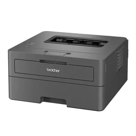 Brother HL-L2400D Monochrome Laser Printer with Auto Duplex Printing