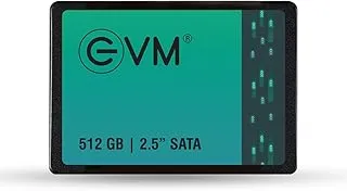 EVM 512GB 2.5-Inch SATA III Internal SSD – 550MB/s Read & 500MB/s Write, 3D NAND, 5-Year Warranty, Laptop & Desktop Solid State Drive (EVM25/512GB)