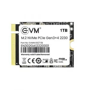 EVM 1TB 2230 NVMe SSD EVMNV30/1TB