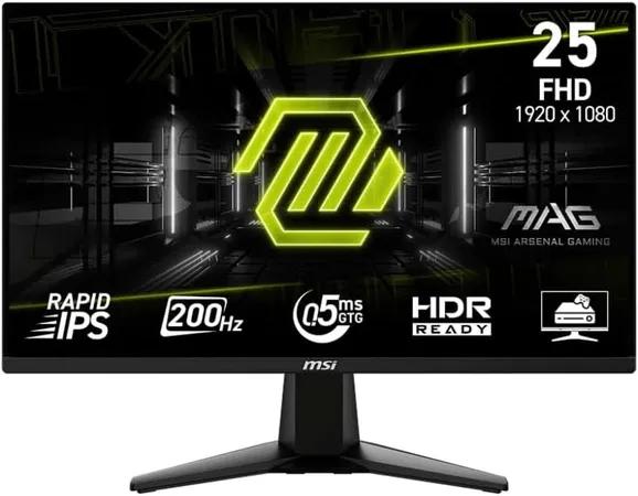 MSI MAG 255XF 25 Inch FHD Rapid IPS 300HZ Gaming Monitor (MAG 255XF)