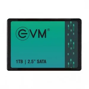 Evm 1TB 2.5 Inch Sata Internal Ssd (EVM25/1TB)