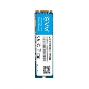 EVM 128GB INTERNAL SATA M.2 SSD EVMM2/128GB