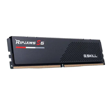 G.Skill Ripjaws S5 24GB (24GBx1) DDR5 5200MHz Desktop RAM F5-5200J4040A24GX1-RS5K