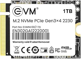 EVM 1TB M.2 NVMe (2230) Internal SSD - PCIe Gen 3x4, Up to 3000MB/s Read, 1900MB/s Write - Ideal for PC Boost Storage - 5 Years Warranty (EVMNV30/1TB)