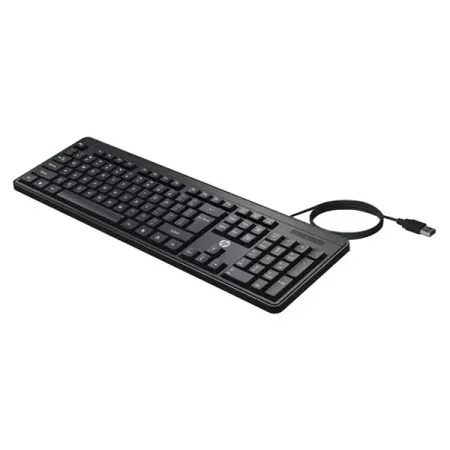 HP K100 Wired Wired USB Desktop Keyboard (Black)