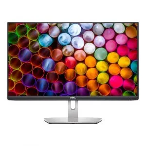 DELL S2421HN 24 Inch FHD 75Hz IPS Panel 99%SRGB 4MS AMD Freesync Monitor