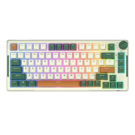 ROYAL KLUDGE RK H81 75% Wireless Mechanical Gaming Keyboard ( Star Night ) ( Brown Switch )