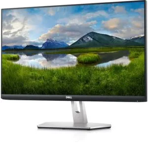 DELL S2421HN 24 Inch FHD 75Hz IPS Panel 99%SRGB 4MS AMD Freesync Monitor