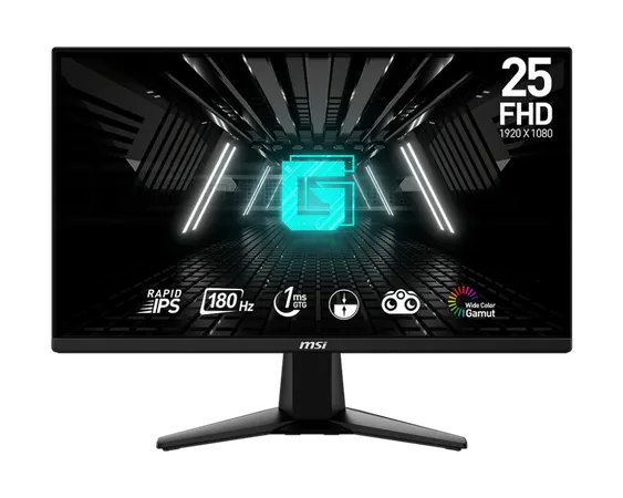 MSI G255F 25 Inch FHD 180Hz IPS Panel 99%SRGB 1MS AMD Freesync Gaming Monitor