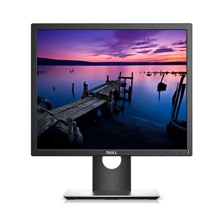 DELL P1917S Professional 19 Inch 60Hz 6MS IPS Monitor