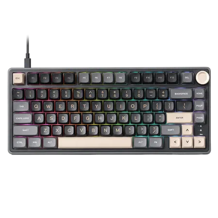ROYAL KLUDGE RK M75 75% RGB Mechanical Wireless Gaming Keyboard ( Taro MIlk ) ( Tactile Brown Switch )