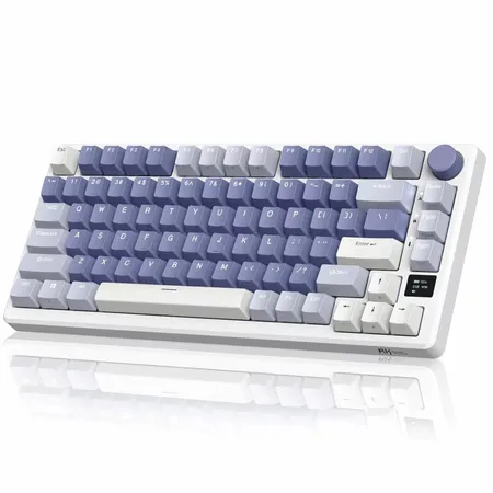 ROYAL KLUDGE RK M75 75% RGB Mechanical Wireless Gaming Keyboard ( Taro Milk ) ( Clicky Blue Switch )