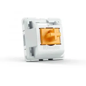 Glorious Holy Panda Mechanical Tactile Switches Lubed