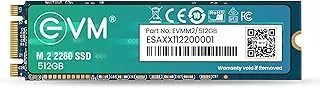 EVM 512GB 2.5-Inch SATA III Internal SSD – 550MB/s Read & 500MB/s Write, 3D NAND, 5-Year Warranty, Laptop & Desktop Solid State Drive (EVM25/512GB)