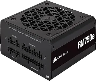 Corsair RM750e Fully Modular Low-Noise ATX Power Supply/PSU for PC - Dual EPS12V Connectors - 105°C-Rated Capacitors - 80 Plus Gold Efficiency - CP-9020248-IN
