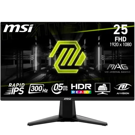 MSI MAG 255XF 25 Inch FHD Rapid IPS 300HZ Gaming Monitor (MAG 255XF)