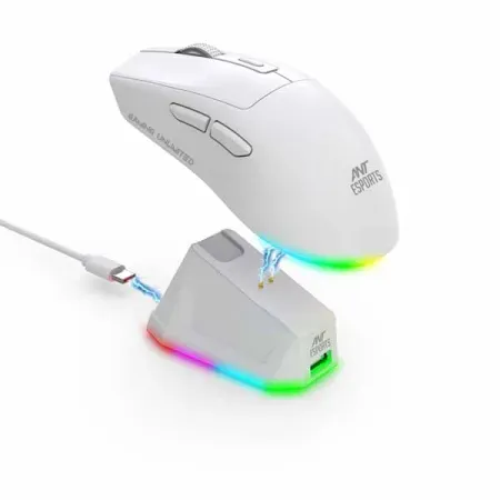 Ant Esports GM810 Pro Wireless Optical Gaming Mouse (White)