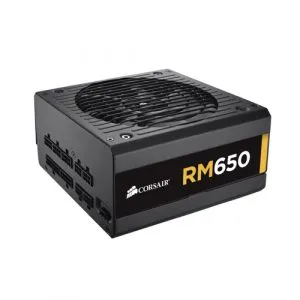 CORSAIR RM650 650W 80+ Gold Fully Modular ATX 2.0 Power Supply