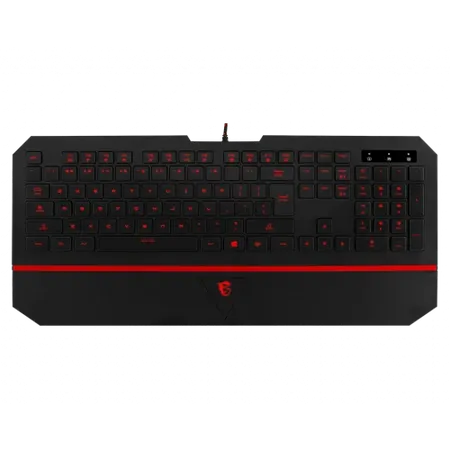 MSI INTERCEPTOR DS4100