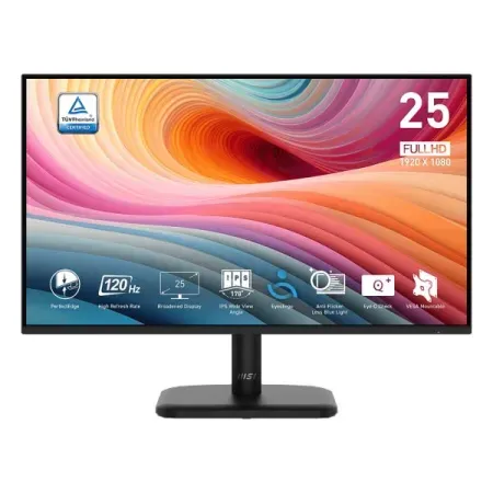 MSI Pro MP251L E2 25 Inch FHD 120Hz IPS Panel 99%SRGB 1MS Adaptive Sync Business Monitor