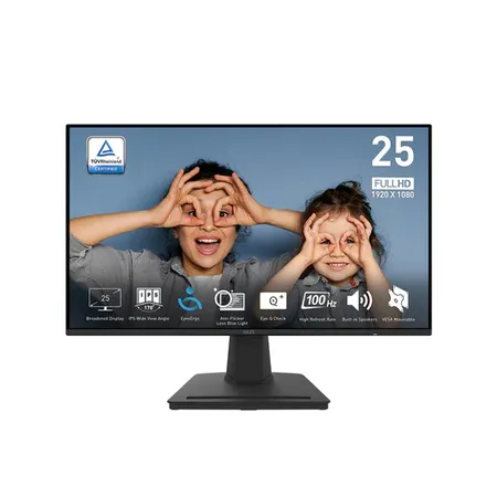 MSI Pro MP252 25 Inch FHD IPS Panel 100Hz Business Monitor (PRO-MP252)