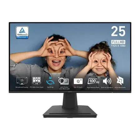MSI Pro MP252 25 Inch FHD IPS Panel Business Monitor (PRO-MP252)