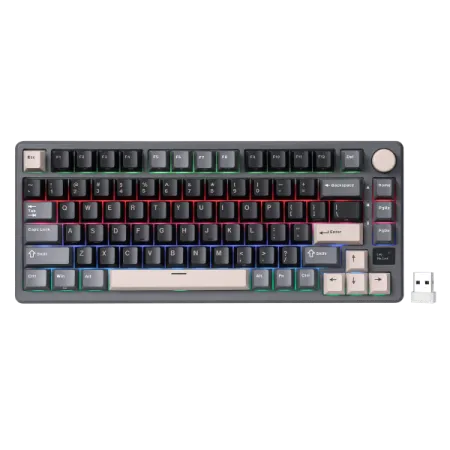 RK ROYAL KLUDGE R75 Phantom Mechanical Keyboard Blue Switch