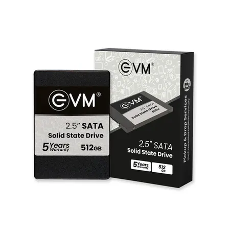 EVM 512GB M.2 SATA SSD EVMM2/512GB