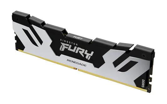 Kingston Fury Renegade 32GB (32GBx1) DDR5 6400MHz Silver-Black Desktop RAM KF564C32RS-32